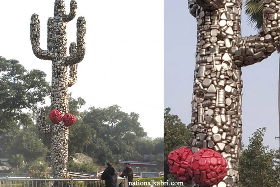 cactus smriti in eco park patna